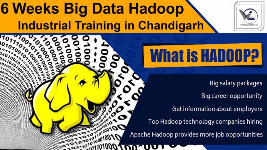 6/Six weeks Big Data Hadoop Industrial Training in Chandigarh - Webliquidinfotech