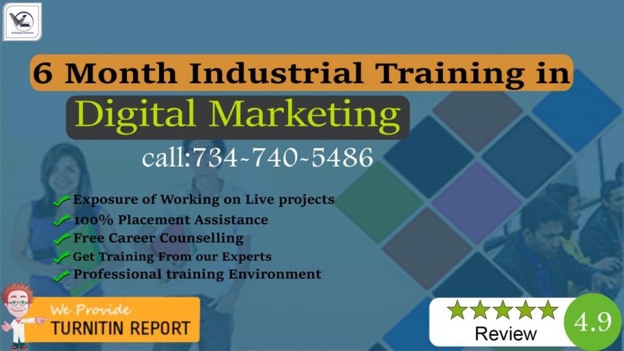 6/Six Months Digital Marketing Industrial Training in Chandigarh - Webliquidinfotech