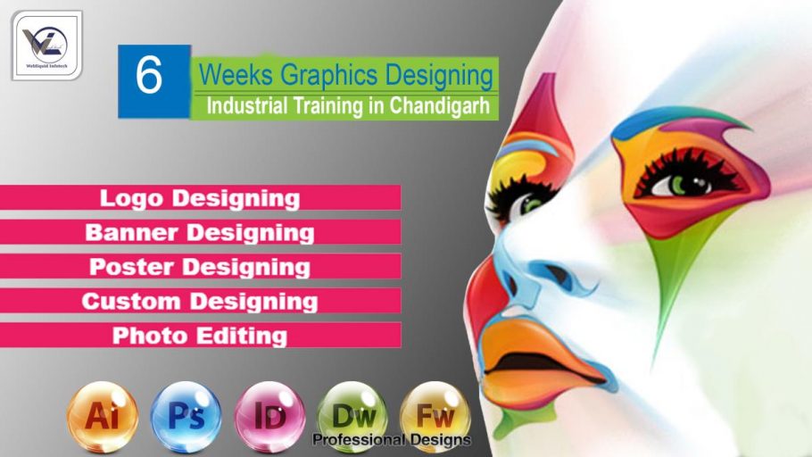 6 weeks Graphics Designing industrial training in Chandigarh - Webliquidinfoetch