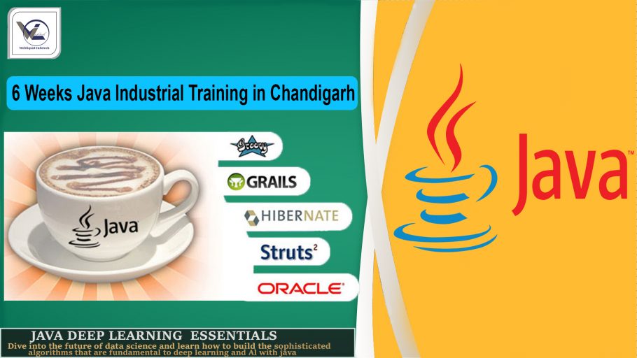 6/Six weeks JAVA industrial training in Chandigarh - Webliquidinfotech