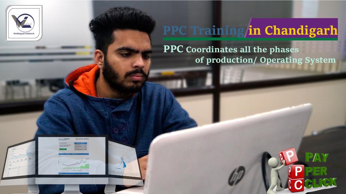 Pay-Per-Click Course in Chandigarh - Webliquidinfotech