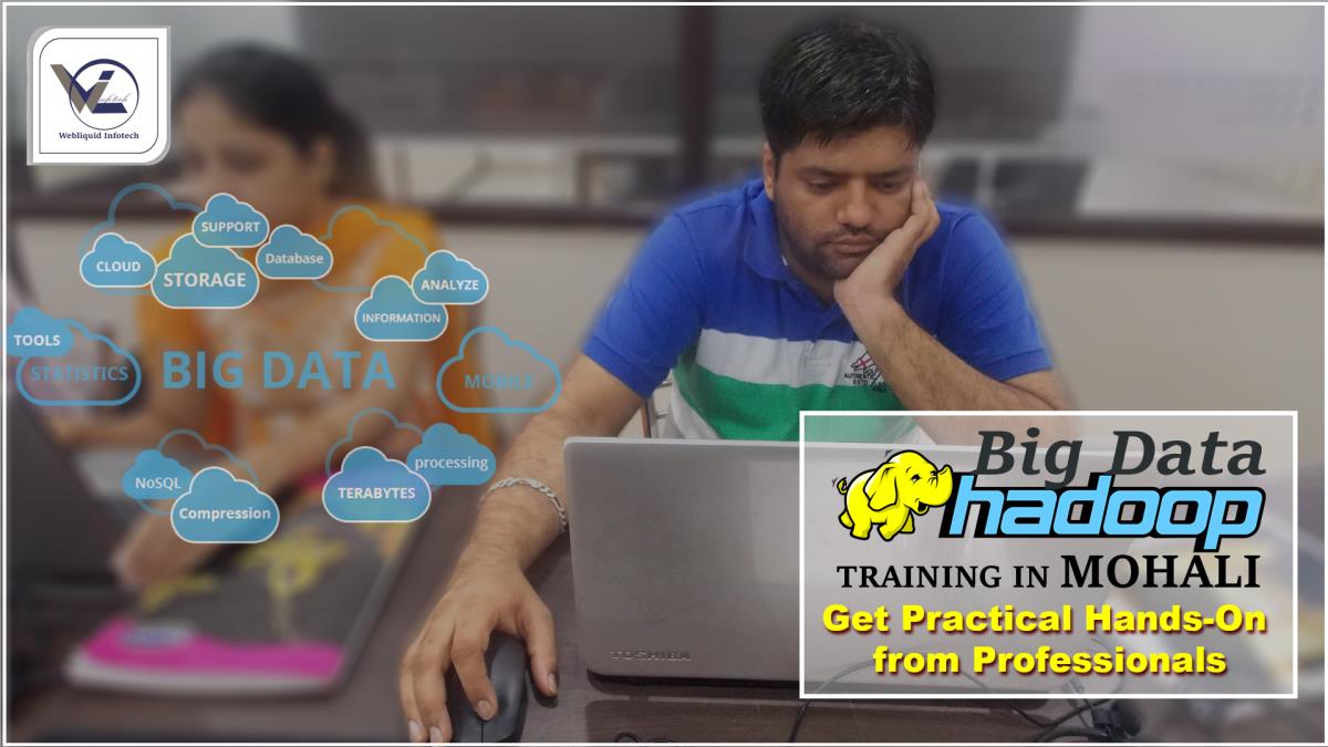 Big Data Hadoop Training in Mohali - Webliquidinfotech
