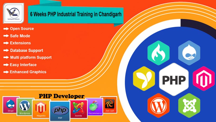 6/Six weeks PHP Industrial Training in Chandigarh - Webliquidinfotech