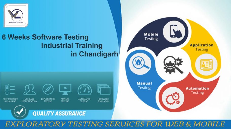 6 Weeks Software Testing Industrial Training in Chandigarh - Webliquidinfotech